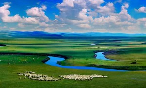 内蒙古自治区总工会启动重点产业园区线上专场招聘会
